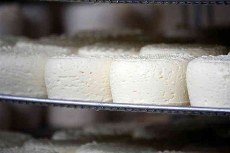 Brocciu : Tout savoir sur le fromage corse