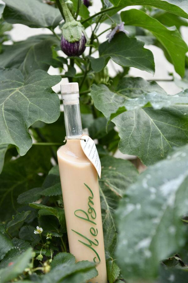 creme-de-melon-corse