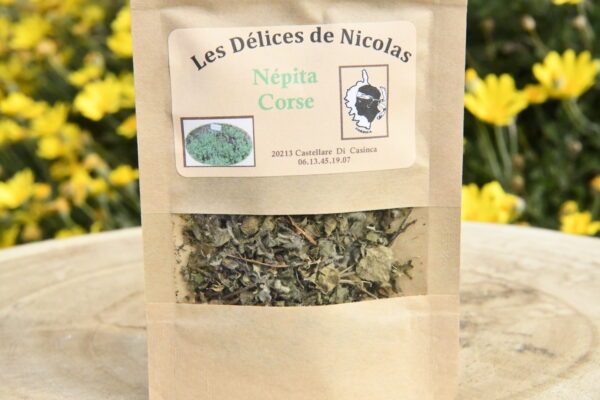 nepita-corse