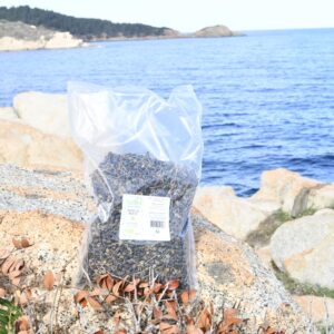 baies-de-myrte-corse