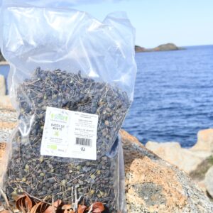 baie-de-myrte-à la punta-capicciola