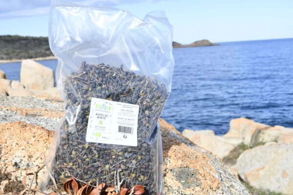 baie de myrte à la punta camiciola baie-de-myrte-à la punta-capicciola