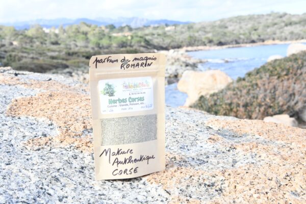 romarin-corse-sur-la plage de capicciola