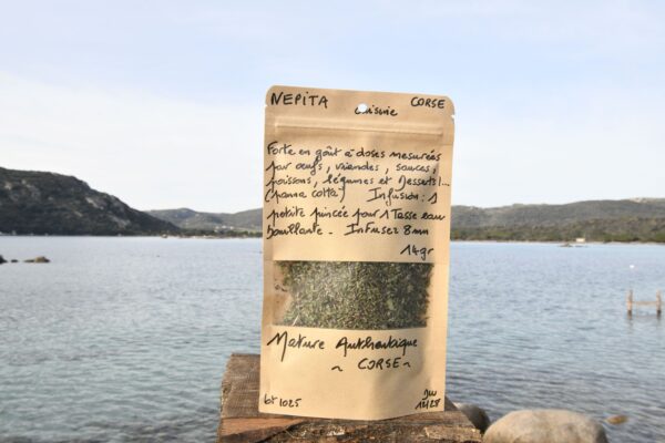 Nepita corse Nepita corse