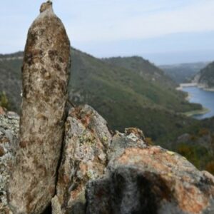 saucisson-corse