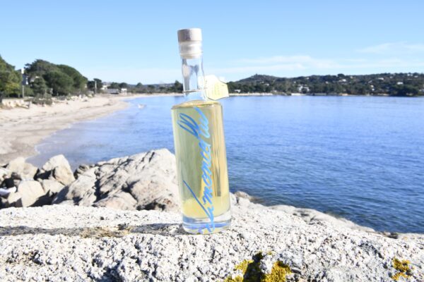 limoncellu limoncellu