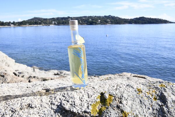 limoncellu-corse limoncellu-corse