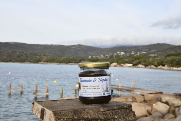 tapenade-et-nepita-calament